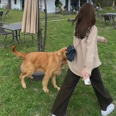 鹰狼突击队
